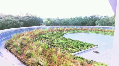 Green roof installation