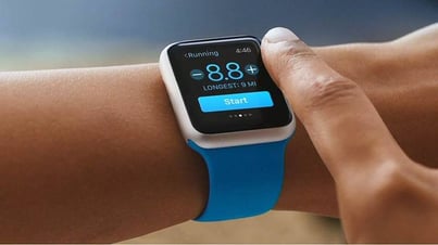 apple watch contains sensors, image