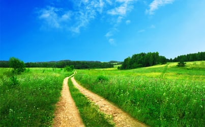 Does Real-Time Weather Visibility Show the Path to Energy Efficiency?