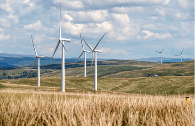 Enterprise Solutions To Decrease Your Carbon Footprint