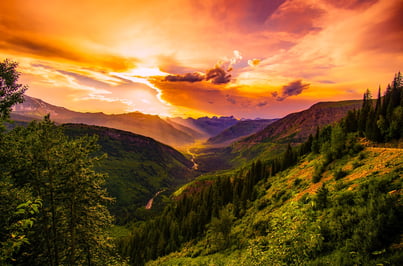clouds-cloudy-conifers-247478