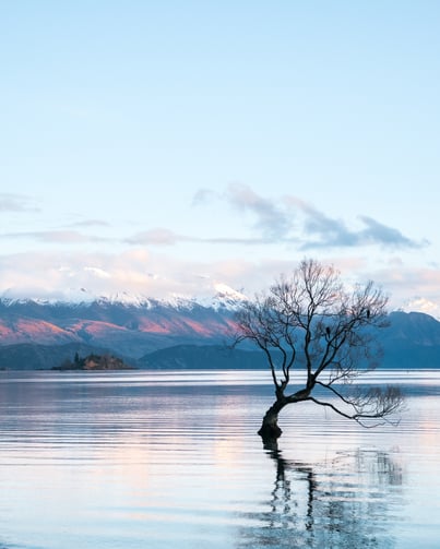 hamish-clark-365162-unsplash